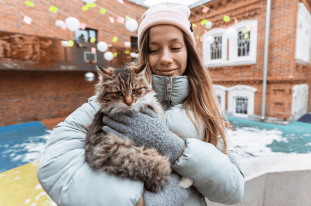 Winter Care Tips for Pets: Keeping Dogs, Cats & Small Animals Safe in Cold Weather 