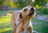 Timmy’s Top Summer Essentials for Pets: Cooling & Outdoor Gear (2026 Edition)