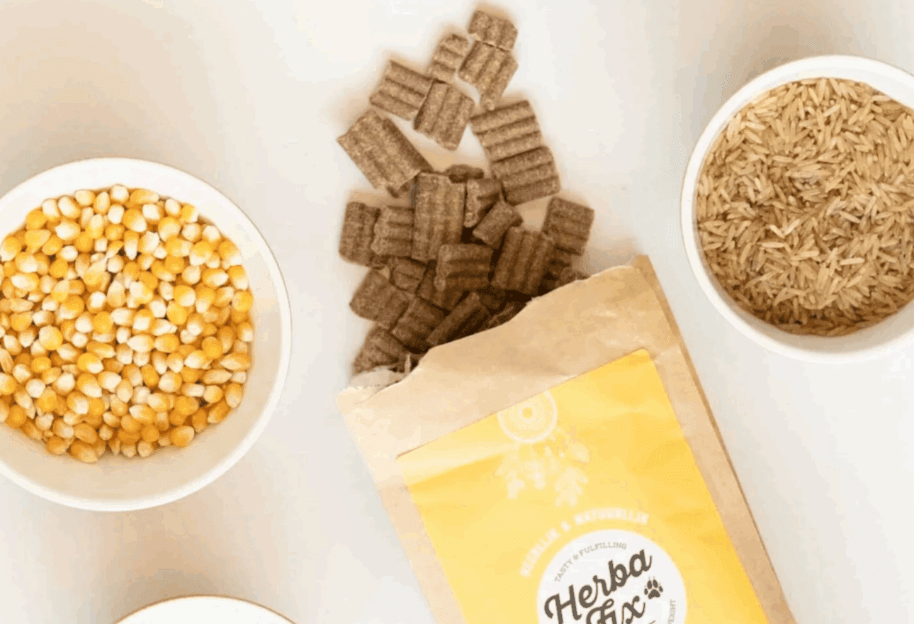 Cold-Pressed vs Dry Extruded Dog Food: What’s the Difference & Which Is Better?