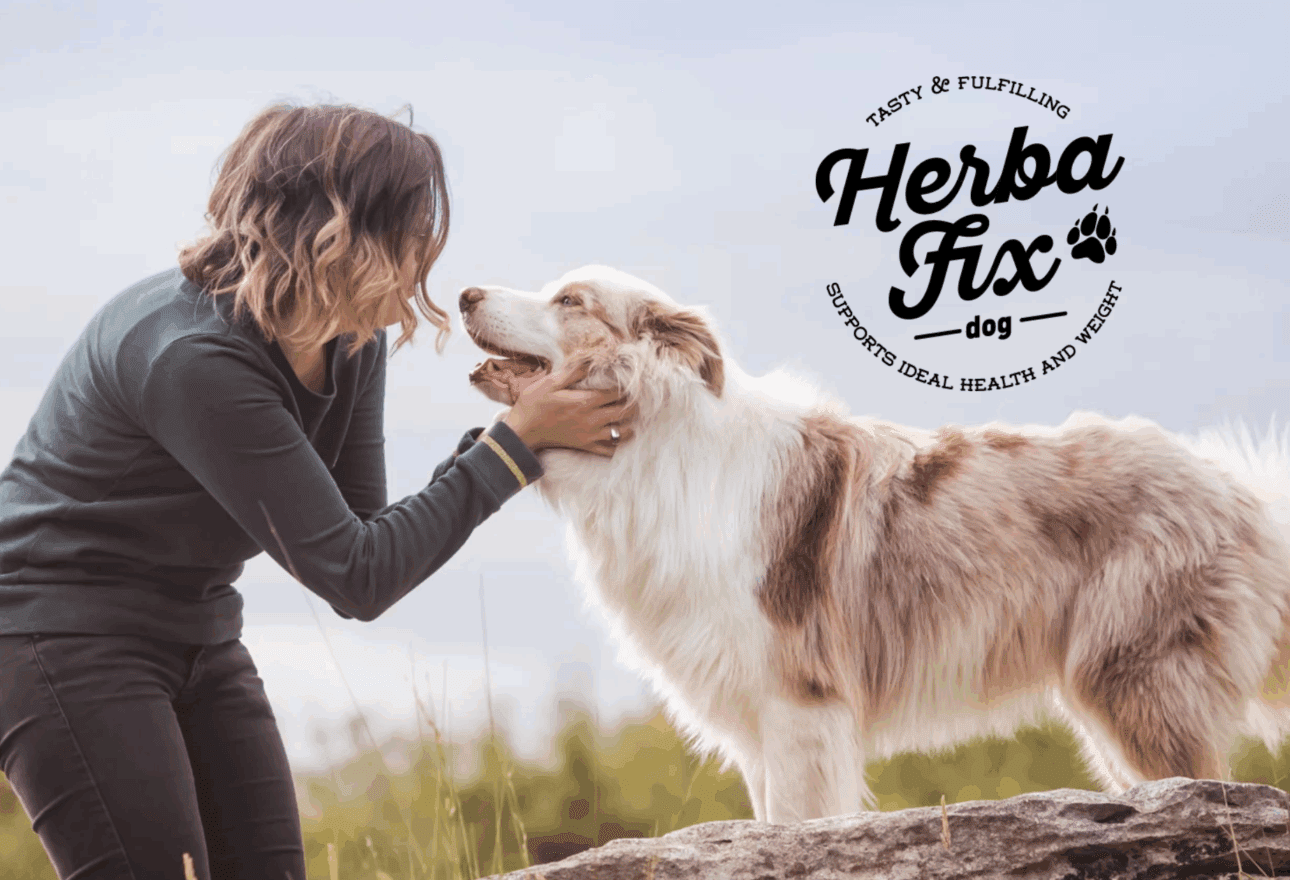 Healthy Natural Dog Food in Ireland: What’s Inside Herbafix & Why It Works