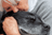 Natural Ways to Support Joint Health in Senior Dogs 