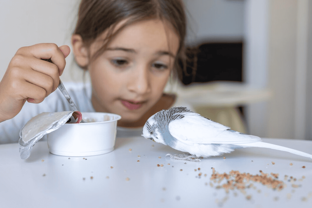 What to Feed Your Pet Birds for a Healthy, Happy Life
