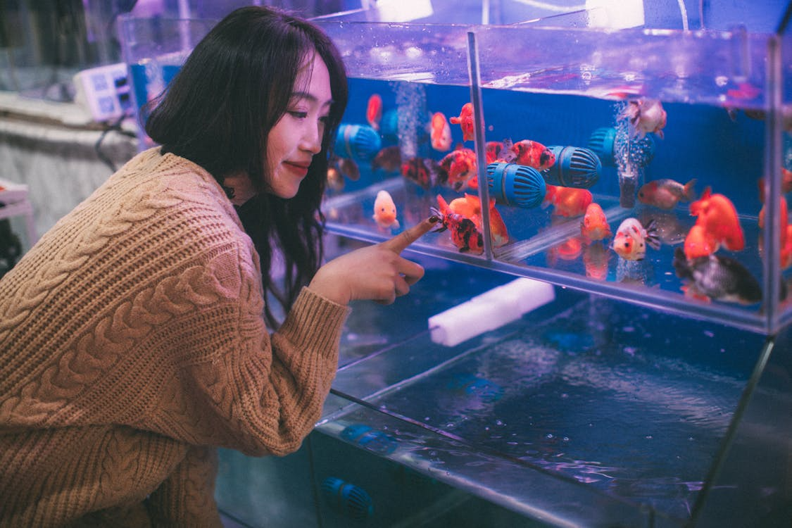 Top 10 Mistakes New Fish Owners Make (And How to Avoid Them)