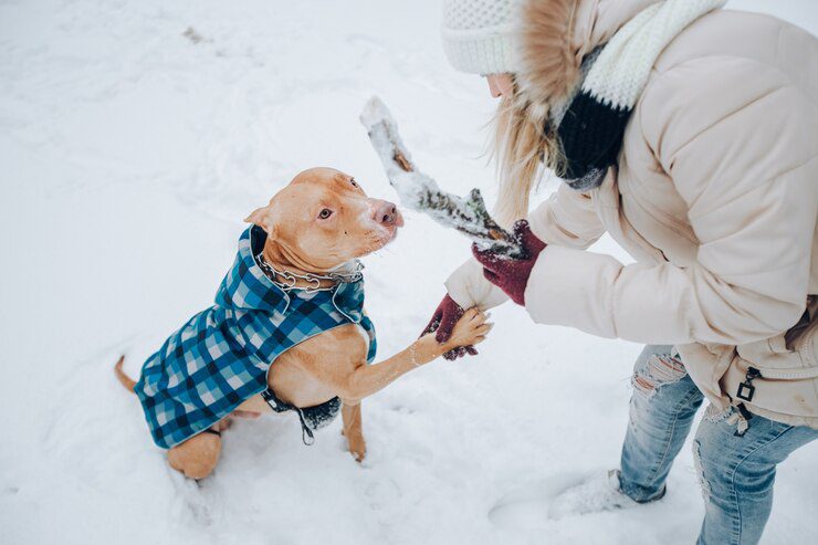 Winter Care Tips for Small Pets