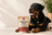Booster Bites