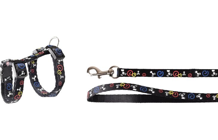 Fl Kitten Harness & Lead