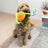 Kong Bendeez Snail Large Dog Toy