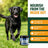 Booster Bites Skin and Coat Dog Treats x60