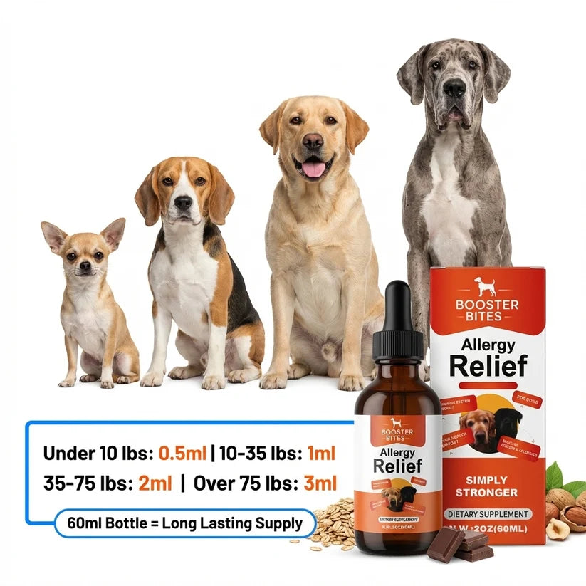 Booster Bites Allergy Relief Liquid 60ml