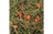 Flamingo Mountain Hay Carrot 500g