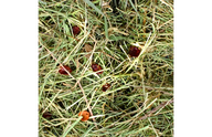 Flamingo Mountain Hay Rosehip 500g