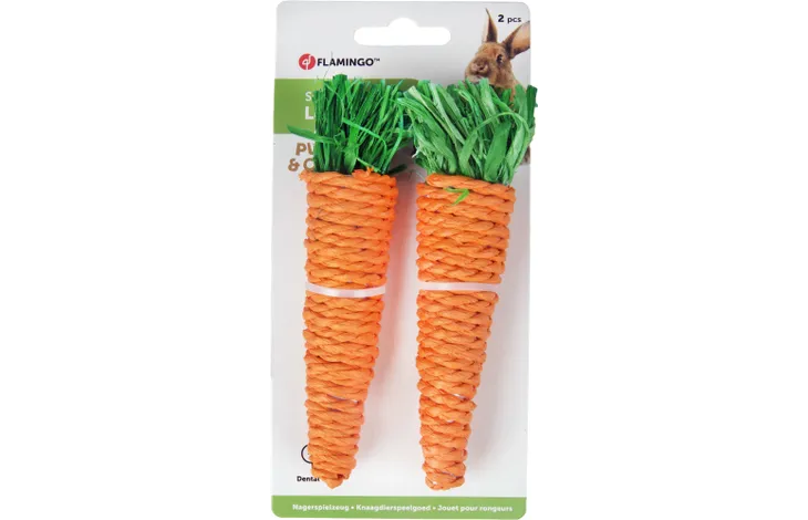 Flamingo Small Pet Carrot Nibbles x2 Pack