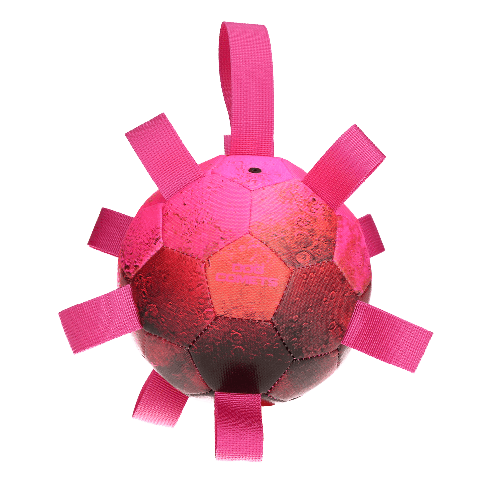 Dog Comets Hypernova Ball Pink