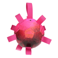 Dog Comets Hypernova Ball Pink