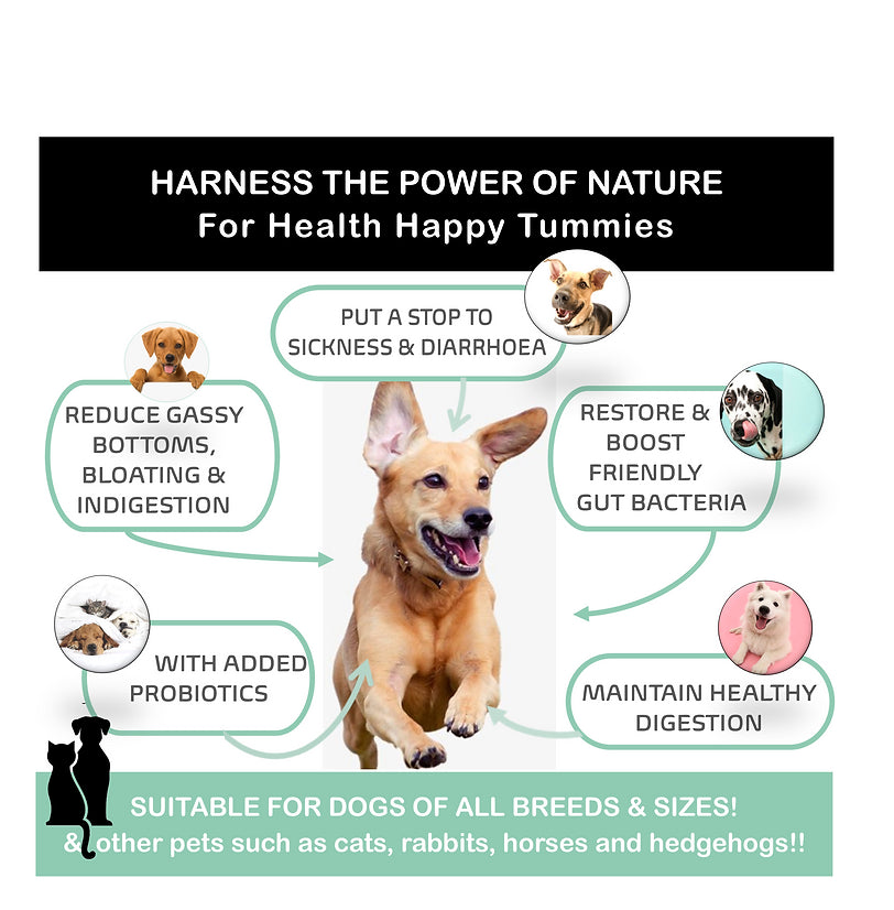 Holistic Hound Tummies Probiotic & Digestive Support 200g