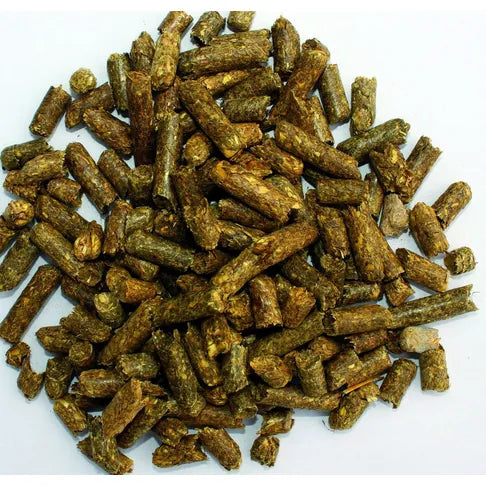 Pettex Herbivore & Tortoise Bedding 10L