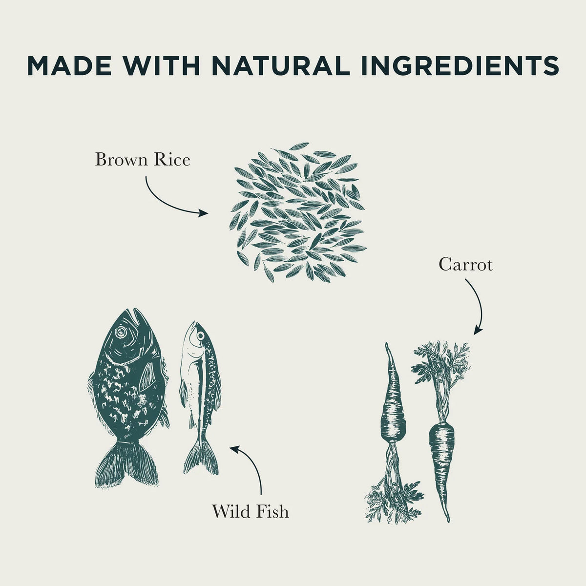 Burns Wild Fish, Carrots & Brown Rice 150g