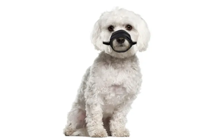 Flamingo Nylon & Mesh Dog Muzzle