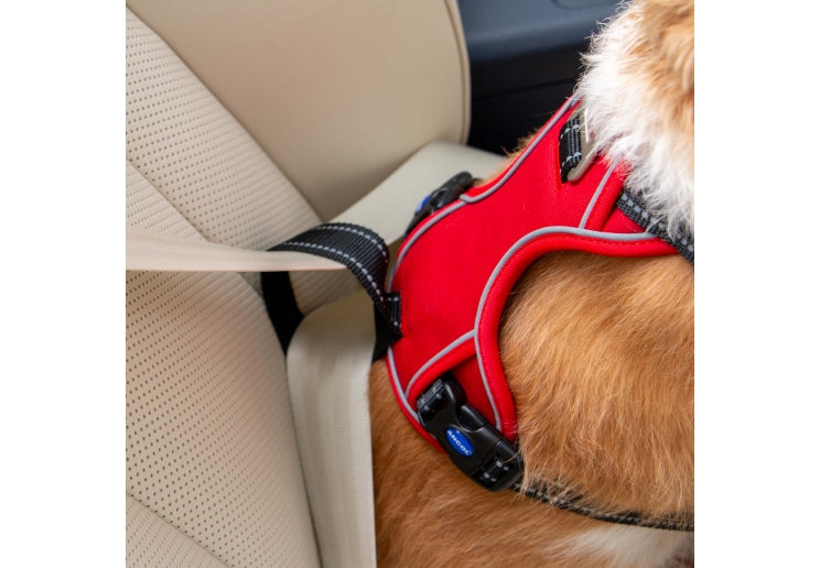 Ancol Viva Travel & Exercise 2 Point Dog Harness Black
