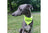 Ancol Warning Pet Bandana (Respect My Space) - Yellow