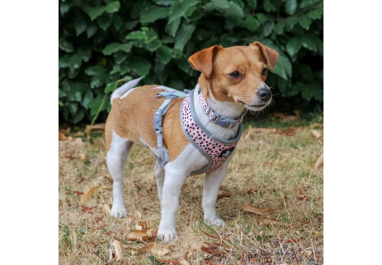 Ancol Soho Dalmation/ZigZag Reversible Dog Harness Large