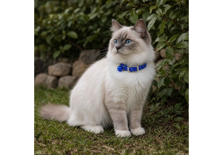 Ancol Softweave Reflective Blue Cat Collar