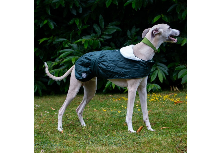 Ancol Heritage Quilted Hound Coat
