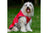 Ancol Stormguard Dog Coat Red