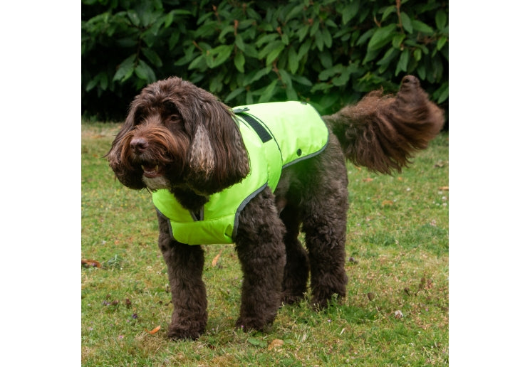 Ancol Stormguard Dog Coat Hi-Vis