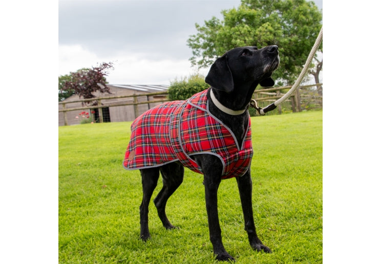 Ancol Heritage Red Tartan Dog Coat