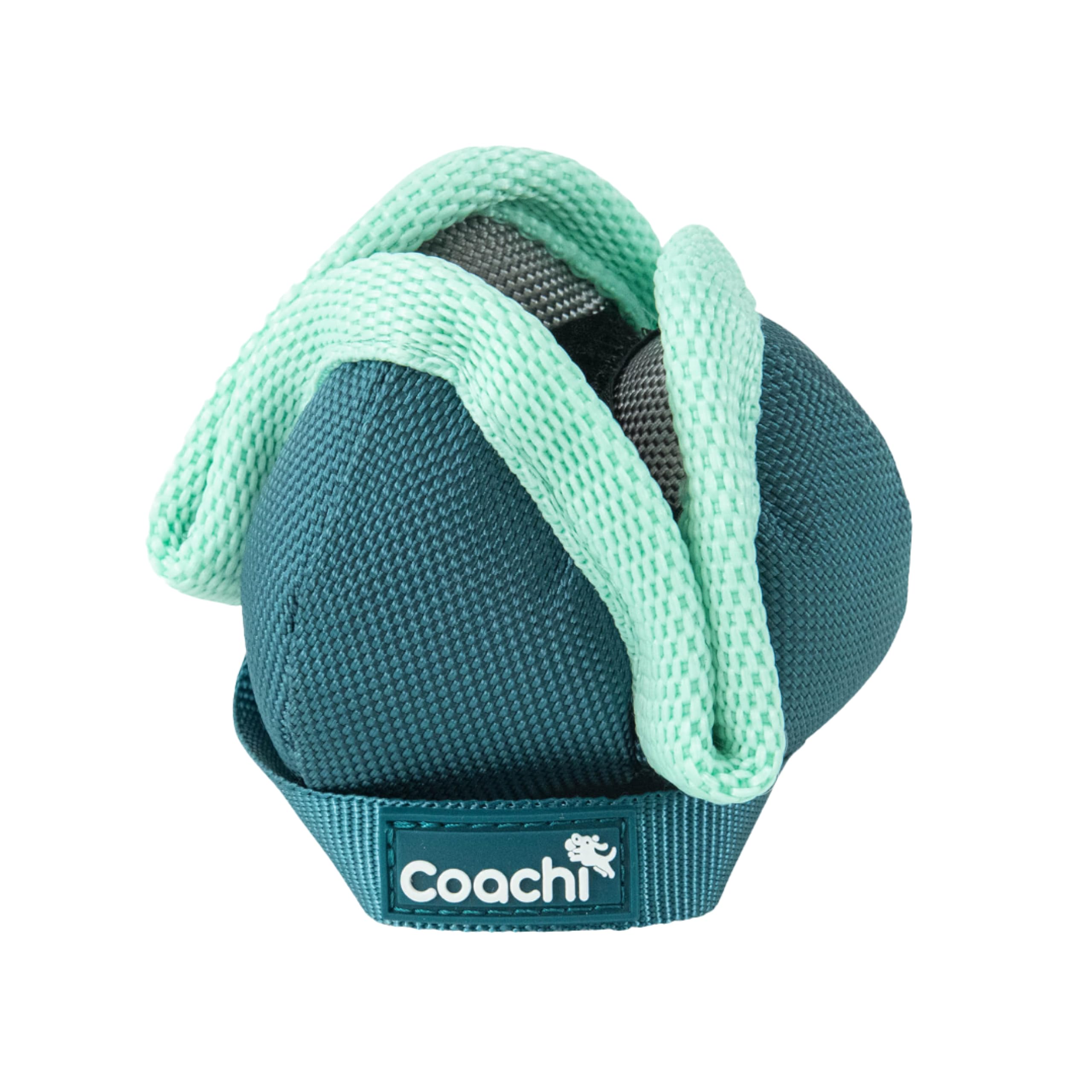 Company of Animals Coachi Chase & Treat Puppy Training Toy