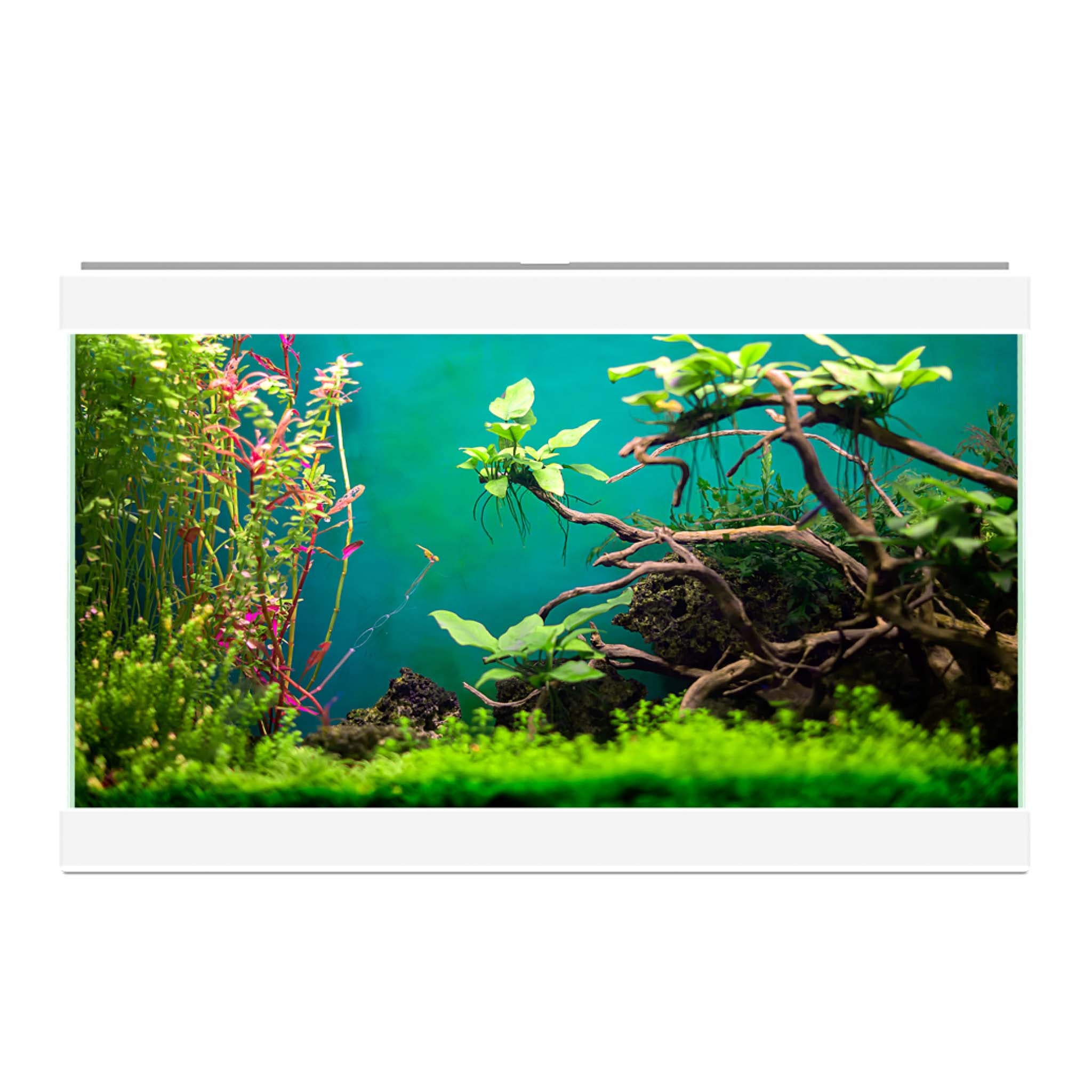 Ciano Aqua 20 Classic Aquarium - White 17L