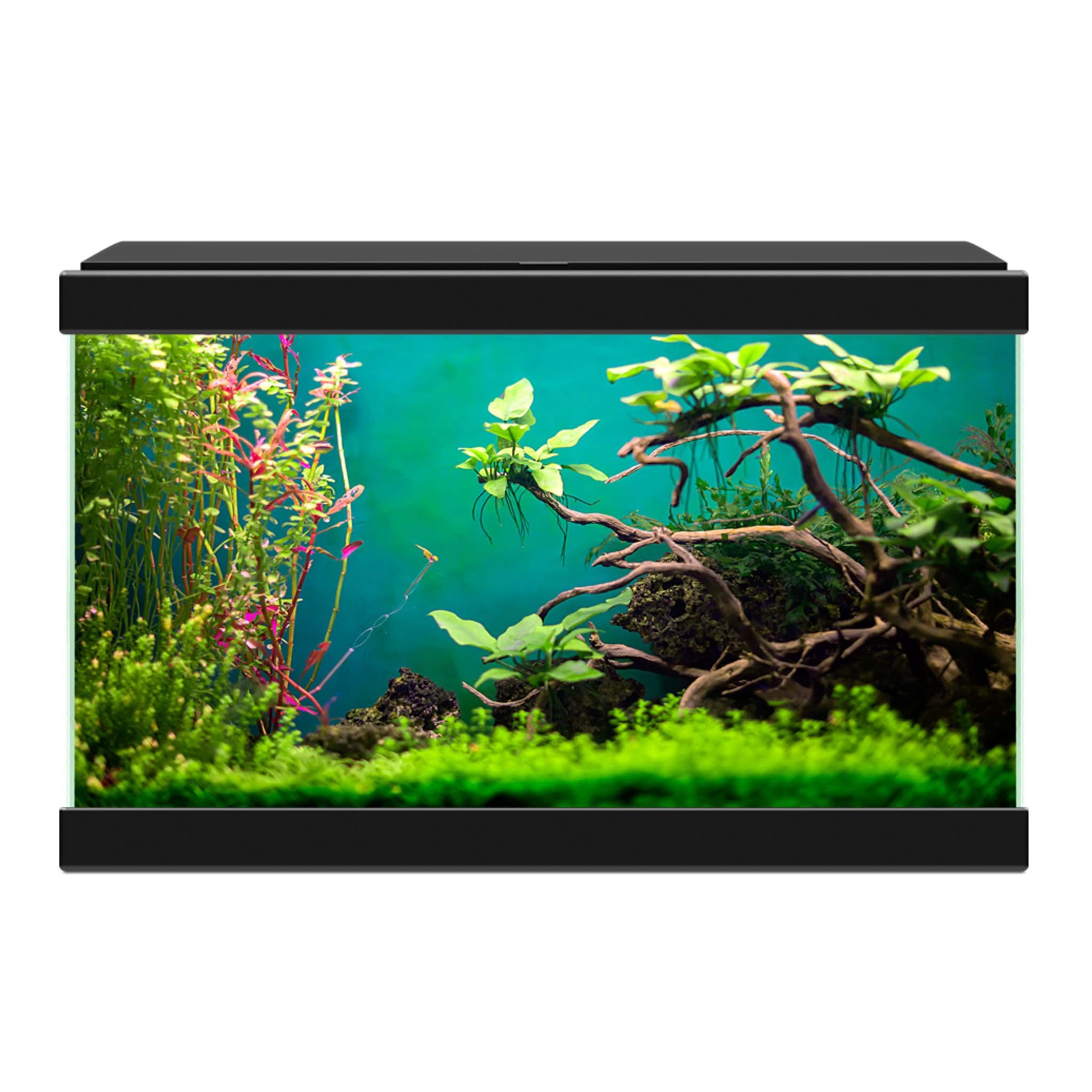Ciano Aqua 20 Classic Aquarium - Black 17L