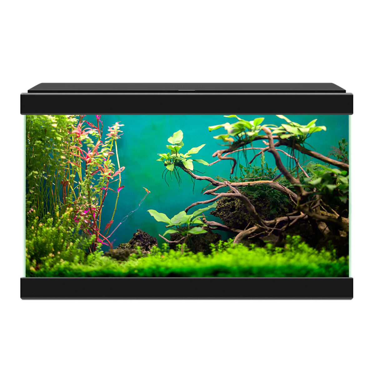 Ciano Aqua 20 Classic Aquarium - Black 17L
