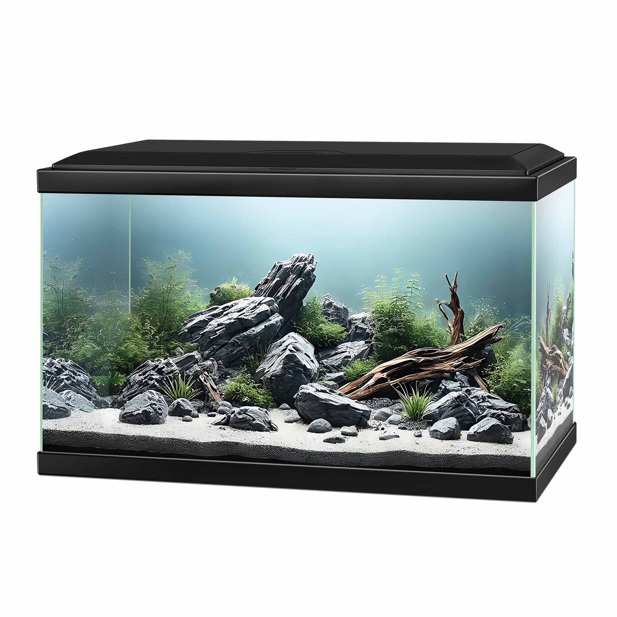 Ciano Aqua 20 Aquarium With LED Light - Black 17L