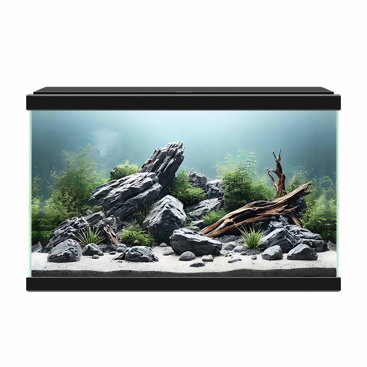 Ciano Aqua 20 Aquarium With LED Light - Black 17L