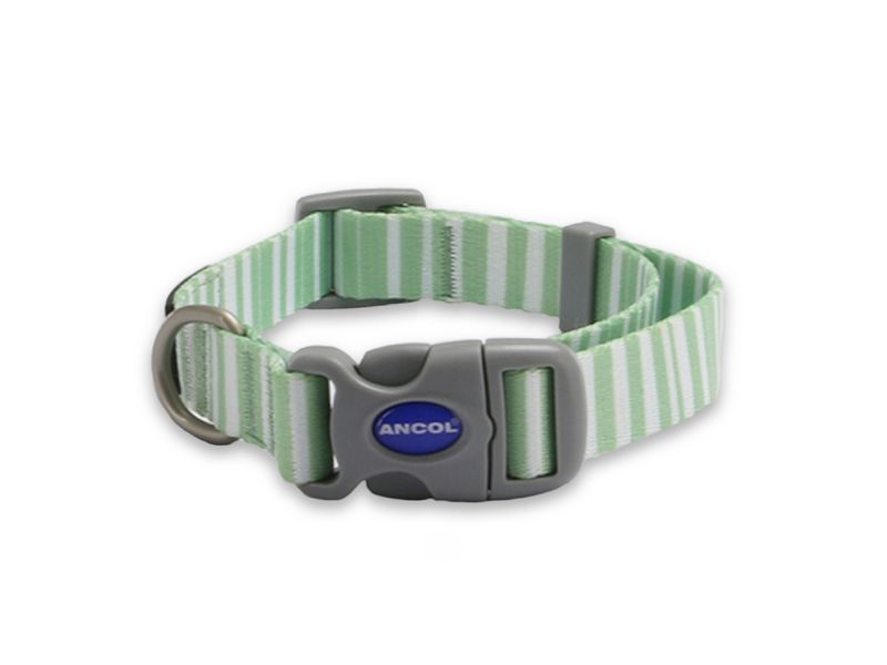 Ancol Soho Stripe Collar