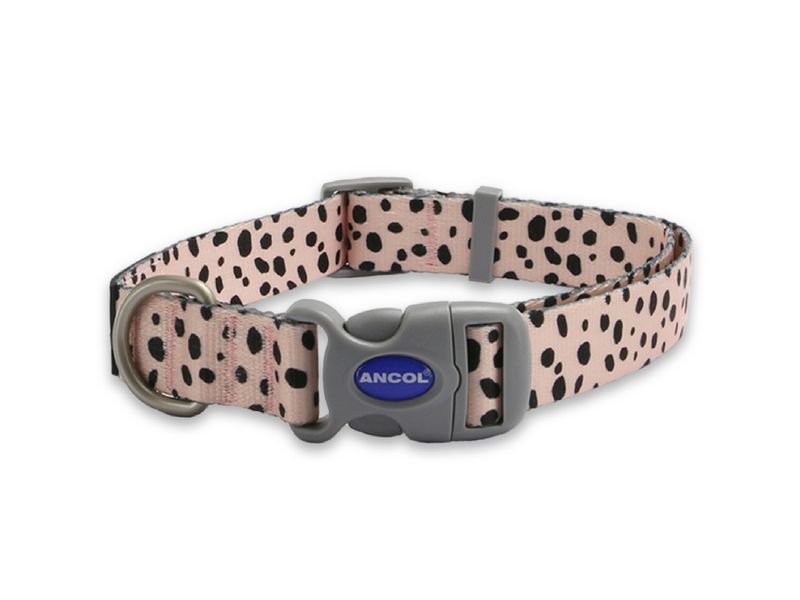 Ancol Soho Pink Collar