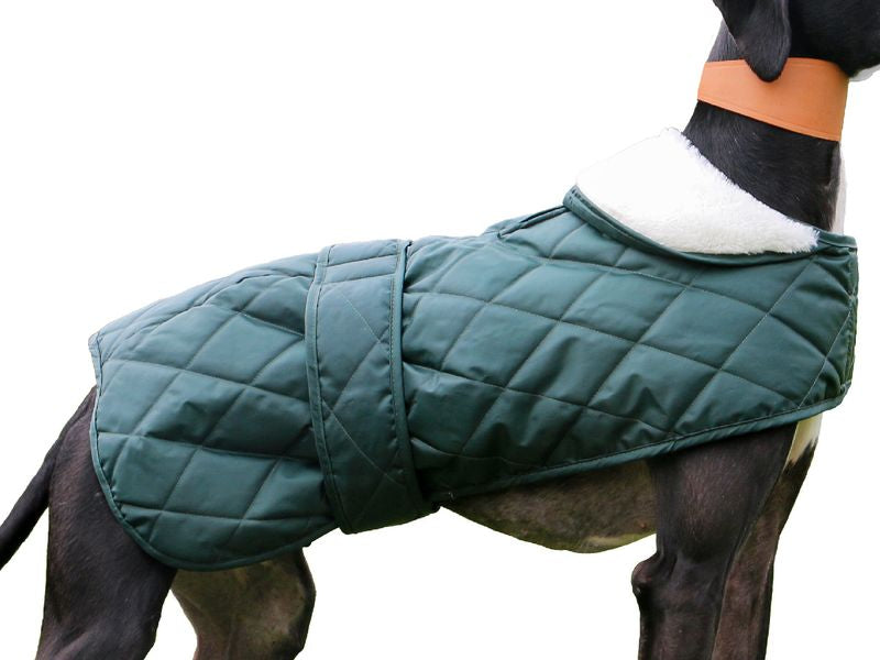 Ancol Quilted Hound Coat