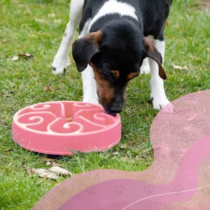 Eat Slow Live Longer Slow Feeder Pink