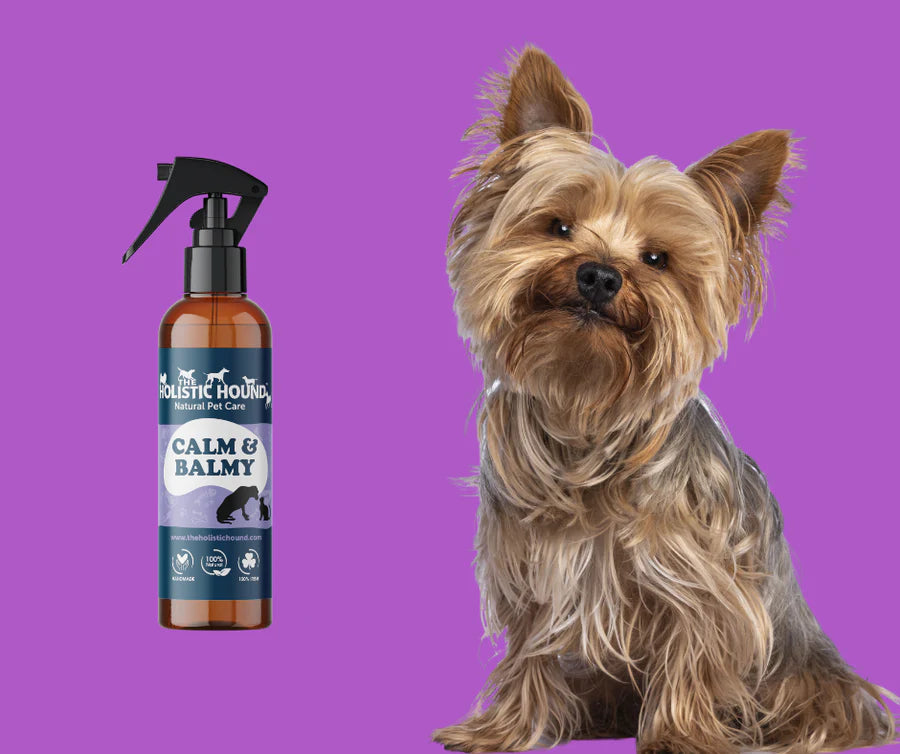 Holistic Hound Calm & Balmy Calming Spray for Pets 100ml