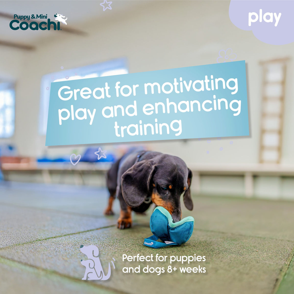 Company of Animals Coachi Chase & Treat Puppy Training Toy