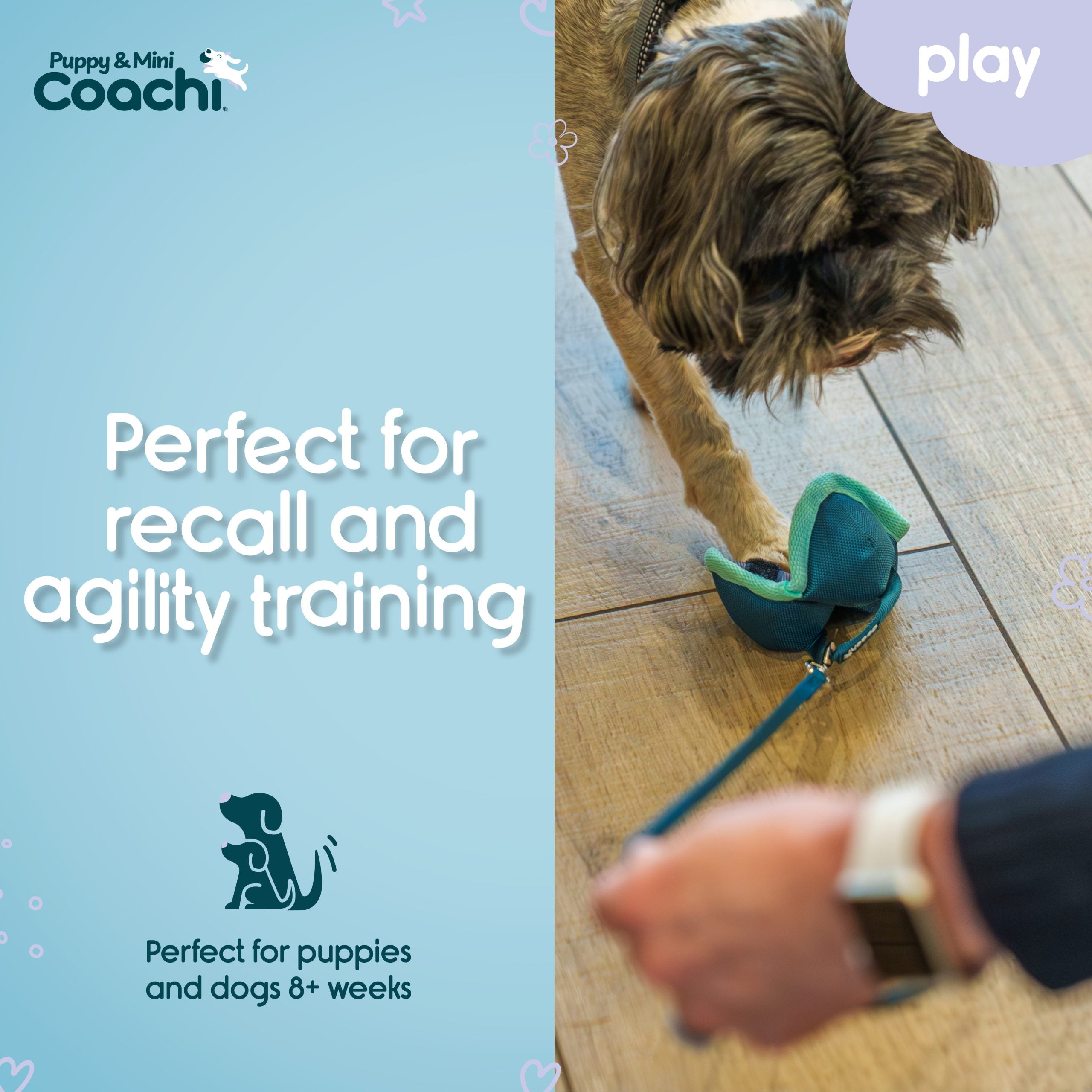 Company of Animals Coachi Chase & Treat Puppy Training Toy