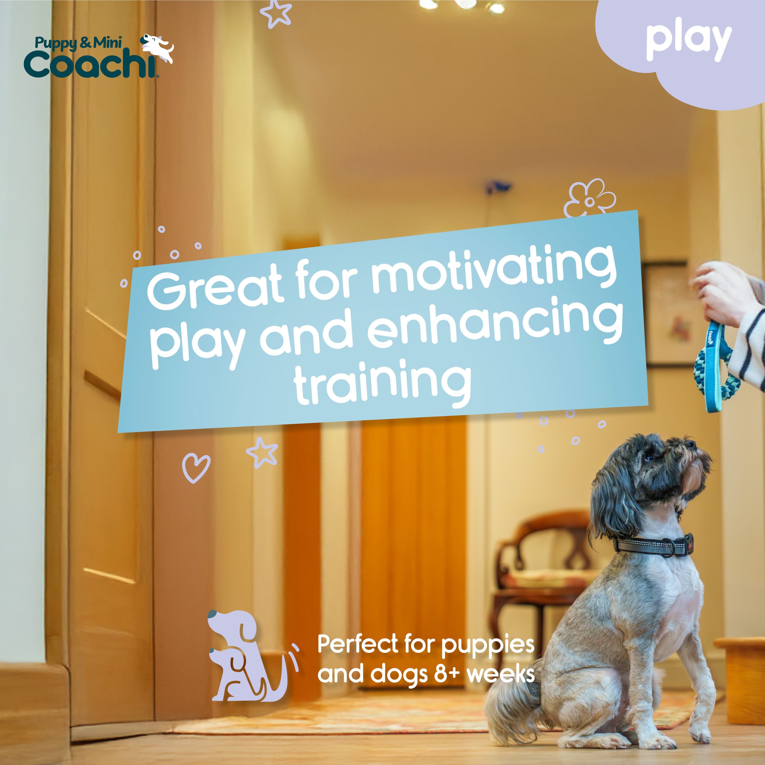 Company Of Animals Coachi Tuggi Helix Puppy Training Toy