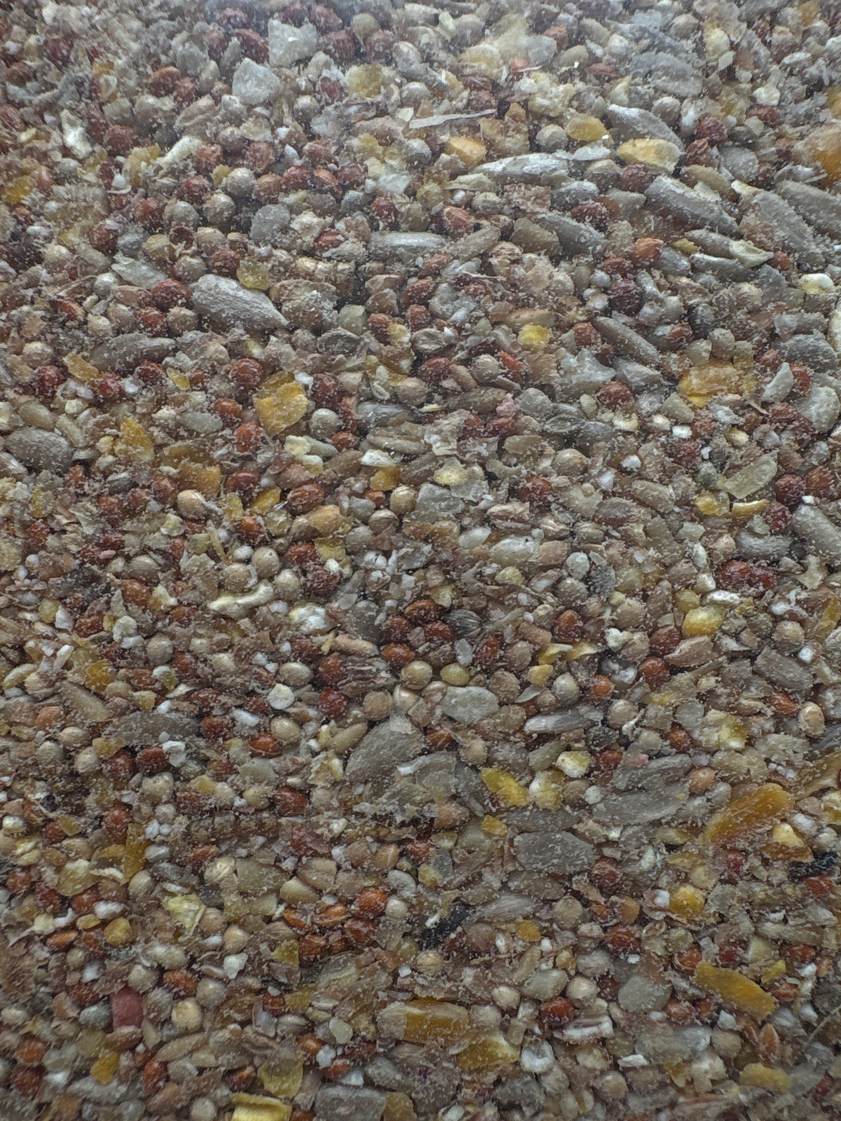 Robin & Songbird Mix 1KG