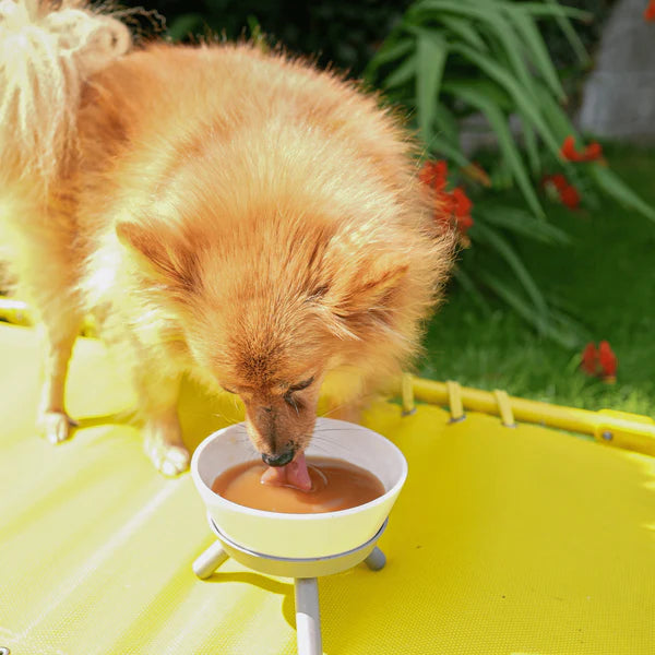 DoggyRade Prebiotic Drink | Hydrolysed Chicken