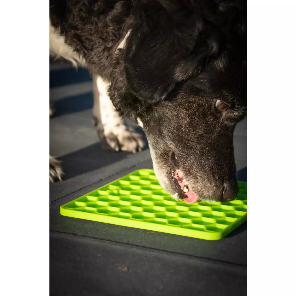 Eat Slow Live Longer Lick Mat Honeycomb
