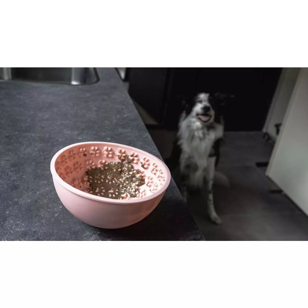 Eat Slow Live Longer Lick Mat Wobble Bowl