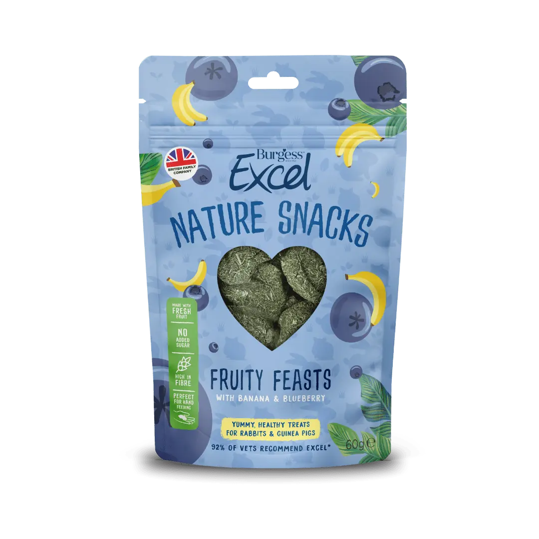 Burgess Excel Fruity Feasts Small Pet Treats 60g