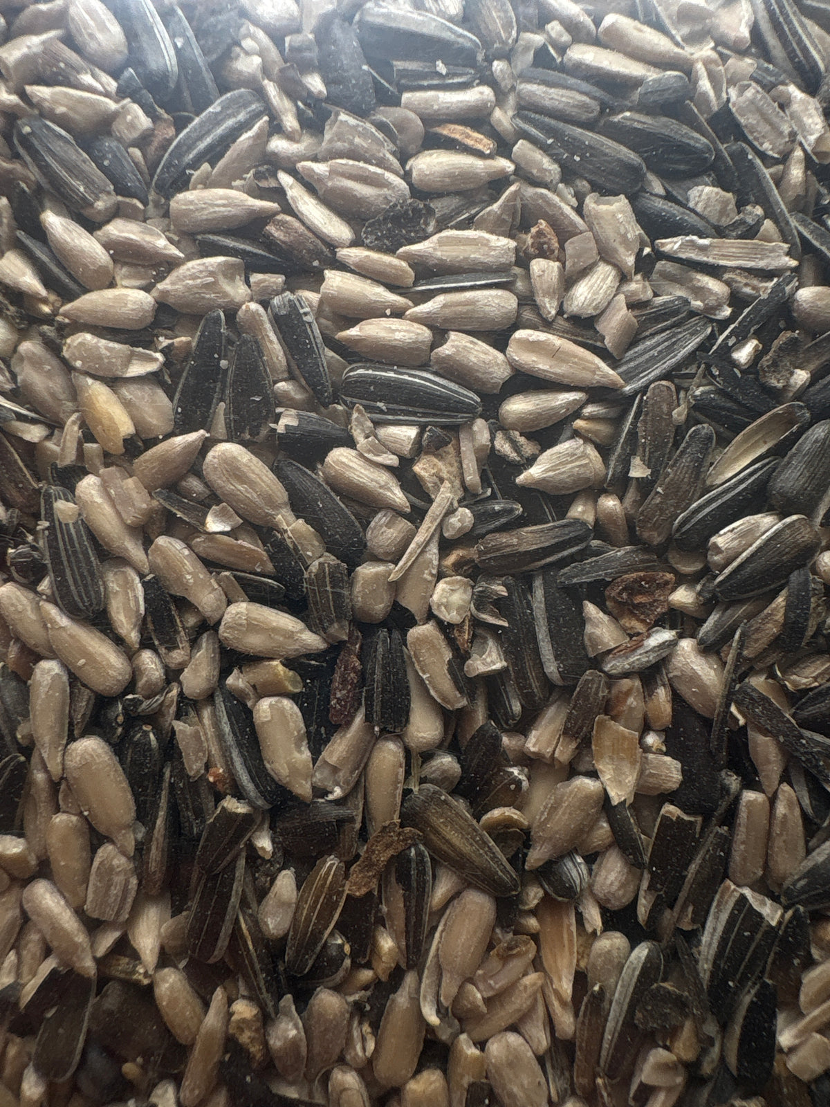 Mixed Sunflower 1.5KG